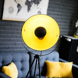 Cette photo AVA_0097.jpg, a été réduite de 86.75 % le Vendredi 07 Février 2025 à 16:02 par Emjysoft Photo Réducteur v5.5 à télécharger sur https://www.emjysoft.com/