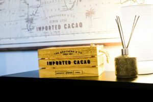 photo-interieur-design-immobilier-saint-etienne (27)